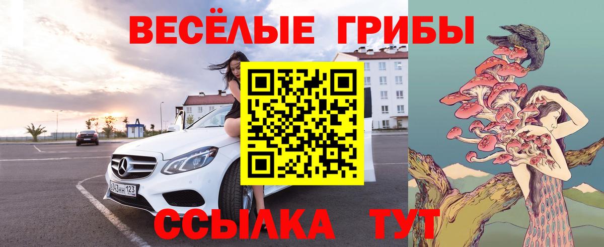 Галлюциногенные грибы Psilocybine cubensis  Вход с VPN  Берёзовский 